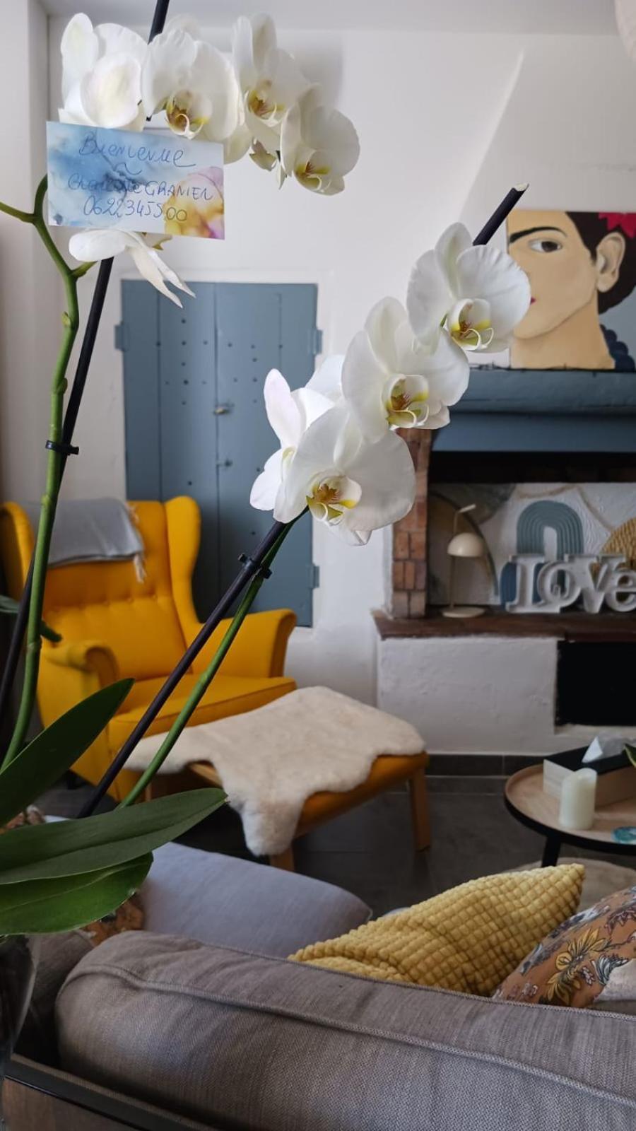 L'Appartement De L'Arche Chateauneuf-de-Gadagne Ngoại thất bức ảnh